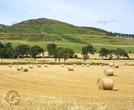 Scottish Borders Rubers Law 9A51D-15.JPG